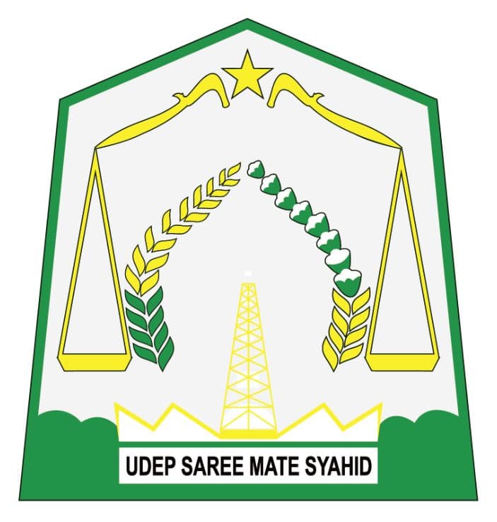 Logo Kabupaten Aceh Timur